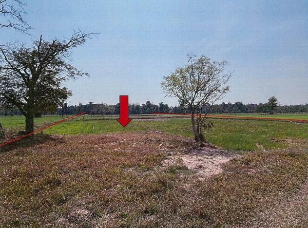 ขายทอดตลาด ที่ดินว่างเปล่า ต.หนองบัวฮี อ.พิบูลมังสาหาร จ.อุบลราชธานี
