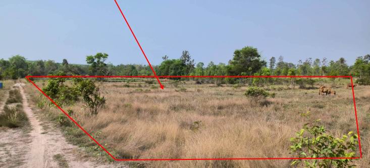 ขายทอดตลาด ที่ดินว่างเปล่า ต.คำเขื่อนแก้ว อ.สิรินธร จ.อุบลราชธานี