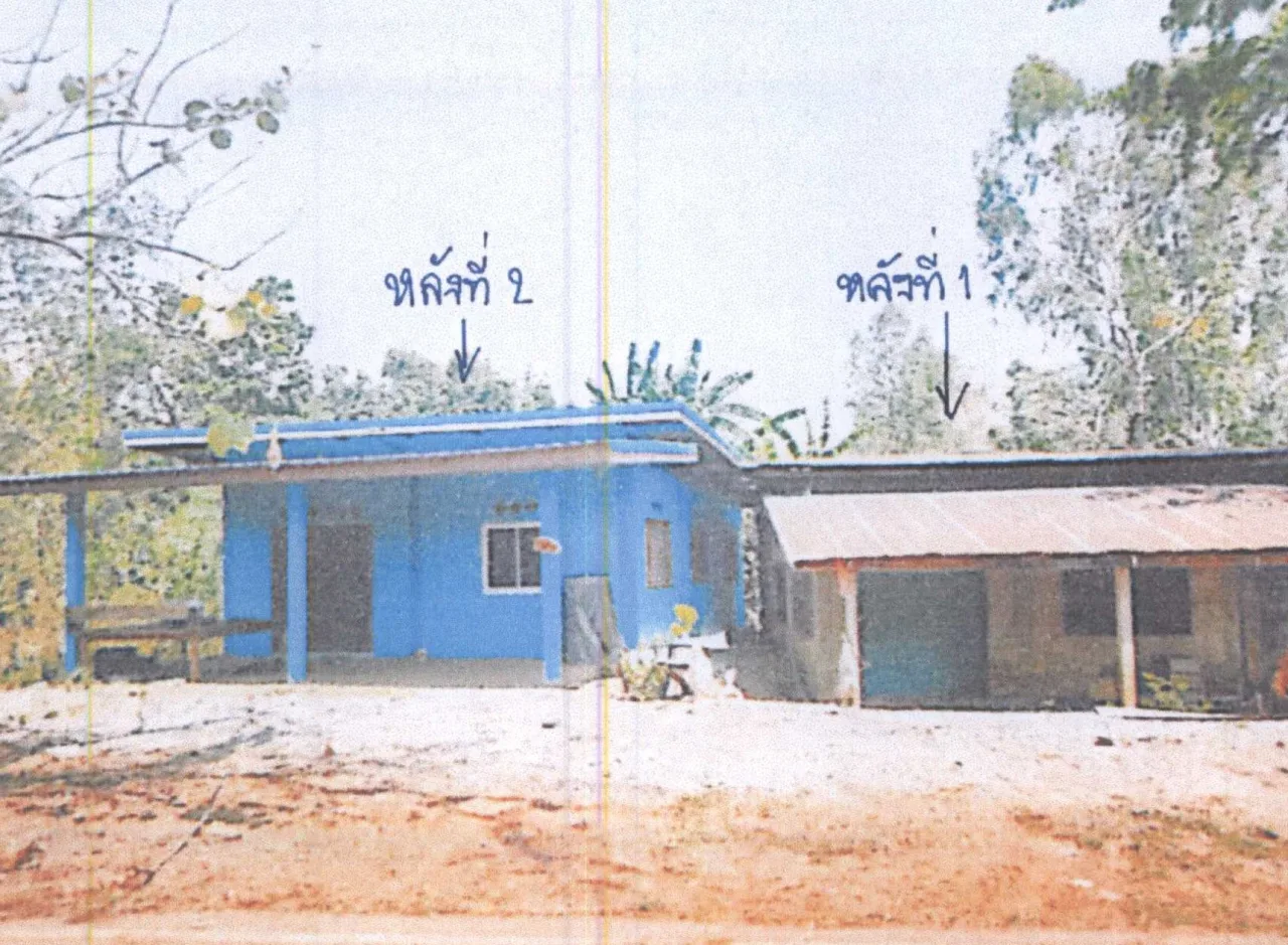 ขายทอดตลาด ที่ดินพร้อมสิ่งปลูกสร้าง ต.ด่านแม่คำมัน อ.ลับแล จ.อุตรดิตถ์