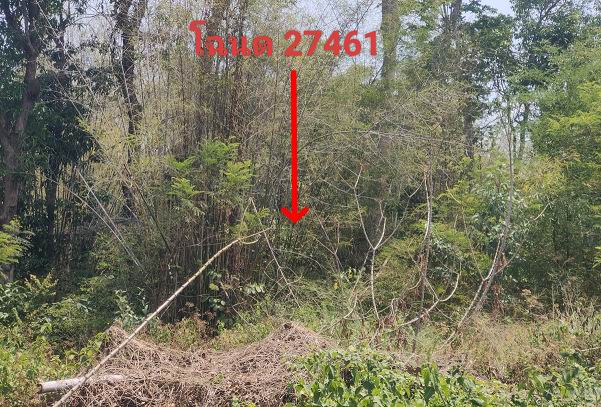 ขายทอดตลาด ที่ดินว่างเปล่า ต.เหล่าบก อ.ม่วงสามสิบ จ.อุบลราชธานี