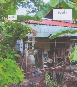 รูปทรัพย์ 1