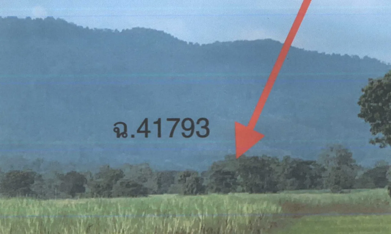 ขายทอดตลาด ที่ดินว่างเปล่า ต.ด่านแม่คำมัน อ.ลับแล จ.อุตรดิตถ์