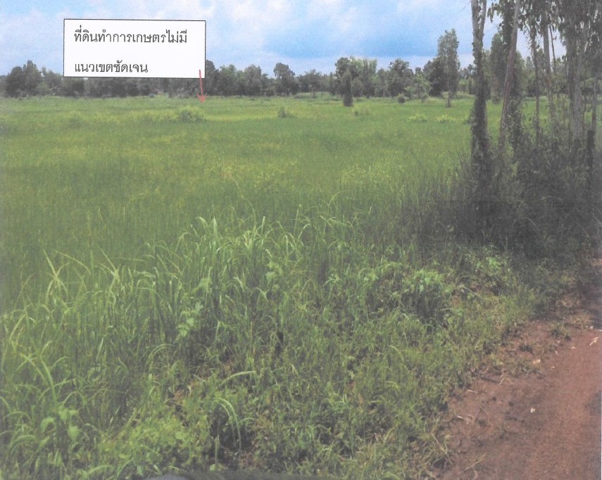 ขายทอดตลาด ที่ดินว่างเปล่า ต.สุมเส้า อ.เพ็ญ จ.อุดรธานี