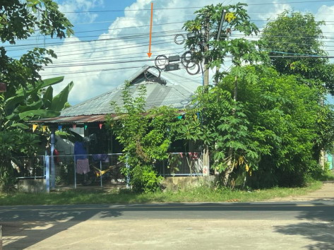ขายทอดตลาด ที่ดินพร้อมสิ่งปลูกสร้าง ต.ดุมใหญ่ อ.ม่วงสามสิบ จ.อุบลราชธานี