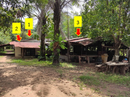 ขายทอดตลาด ที่ดินพร้อมสิ่งปลูกสร้าง ต.ดุมใหญ่ อ.ม่วงสามสิบ จ.อุบลราชธานี