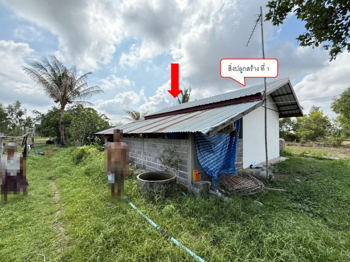 ขายทอดตลาด ที่ดินพร้อมสิ่งปลูกสร้าง ต.ศรีสุข อ.เขื่องใน จ.อุบลราชธานี