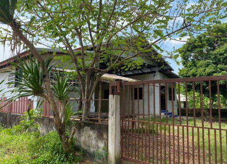 ขายทอดตลาด ที่ดินพร้อมสิ่งปลูกสร้าง ต.ข้าวสาร อ.บ้านผือ จ.อุดรธานี