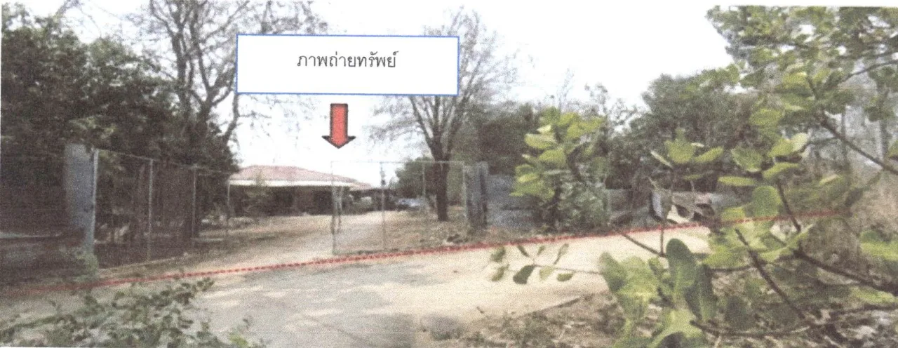 ขายทอดตลาด ที่ดินพร้อมสิ่งปลูกสร้าง ต.บ้านฝาย อ.น้ำปาด จ.อุตรดิตถ์