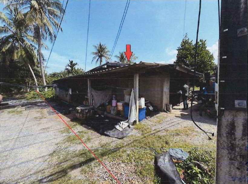 ขายทอดตลาด ที่ดินพร้อมสิ่งปลูกสร้าง ต.ท่าทอง อ.กาญจนดิษฐ์ จ.สุราษฎร์ธานี