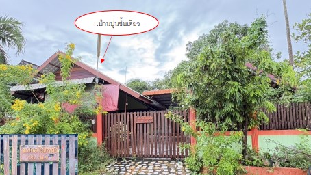 ขายทอดตลาด ที่ดินว่างเปล่า ต.บ้านม่วง อ.บ้านดุง จ.อุดรธานี