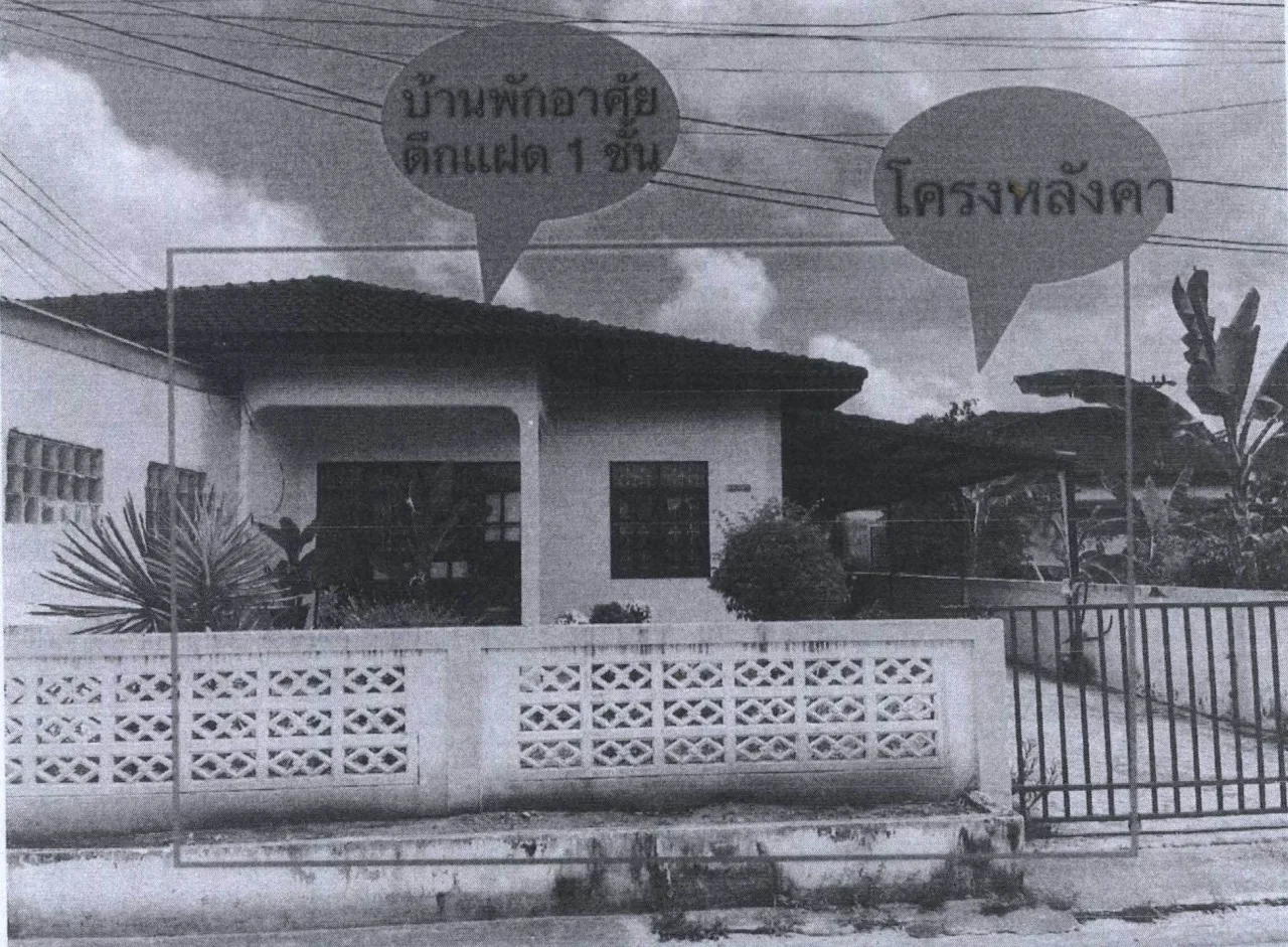 ขายทอดตลาด ที่ดินพร้อมสิ่งปลูกสร้าง ต.หัวเตย อ.พุนพิน จ.สุราษฎร์ธานี