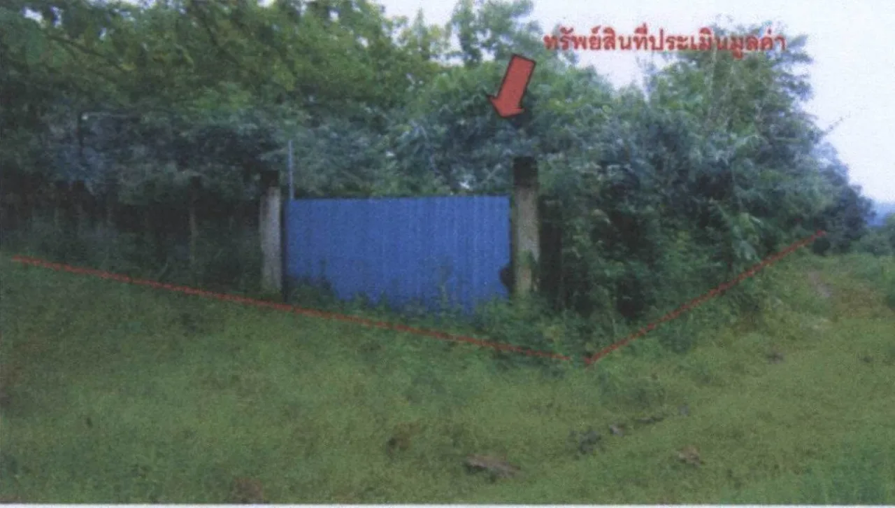 ขายทอดตลาด ที่ดินว่างเปล่า ต.บ้านฝาย อ.น้ำปาด จ.อุตรดิตถ์