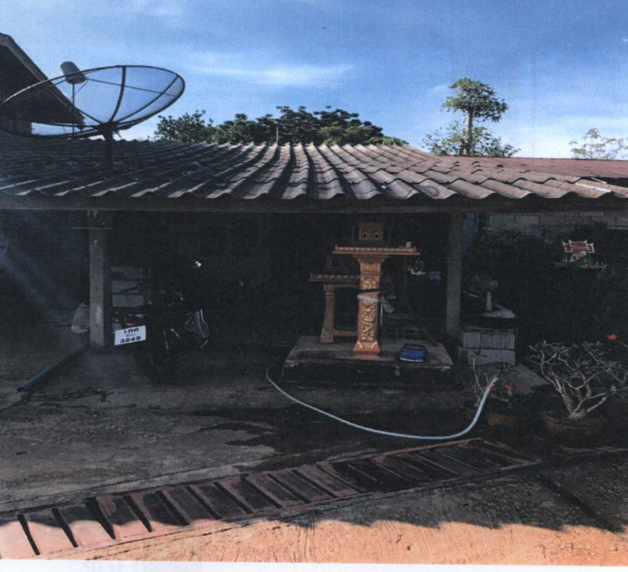 ขายทอดตลาด ที่ดินพร้อมสิ่งปลูกสร้าง ต.พนม อ.พนม จ.สุราษฎร์ธานี