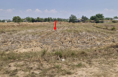 ขายทอดตลาด ที่ดินว่างเปล่า ต.ระเว อ.พิบูลมังสาหาร จ.อุบลราชธานี