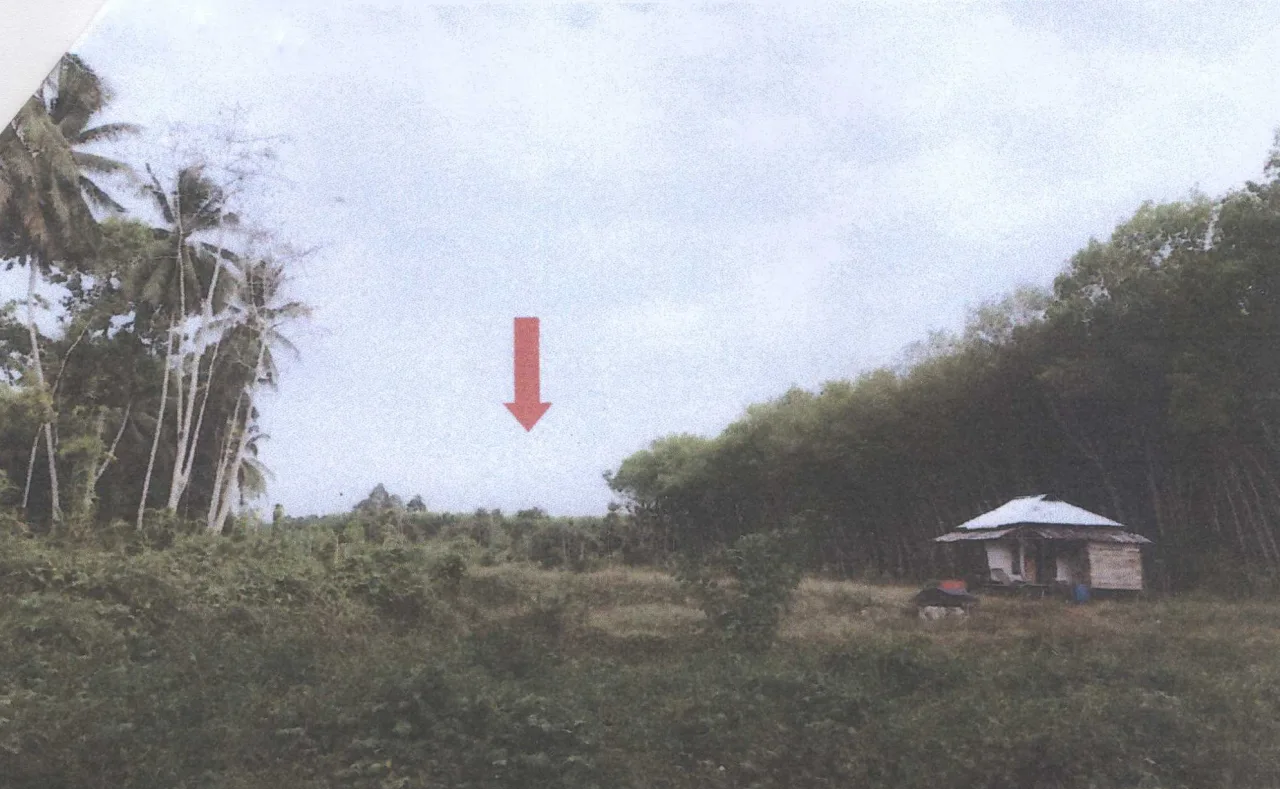 ขายทอดตลาด ที่ดินพร้อมสิ่งปลูกสร้าง ต.น้ำรอบ อ.พุนพิน จ.สุราษฎร์ธานี