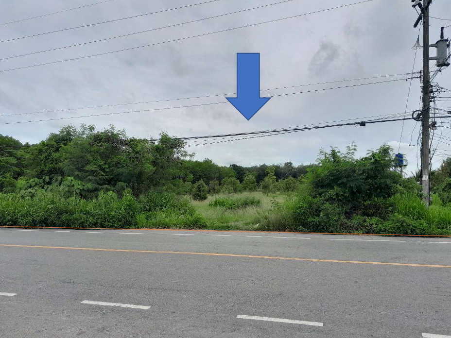 ขายทอดตลาด ที่ดินว่างเปล่า ต.ตะเคียนทอง อ.กาญจนดิษฐ์ จ.สุราษฎร์ธานี