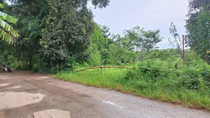 ขายทอดตลาด ที่ดินว่างเปล่า ต.นาดี อ.หนองแสง จ.อุดรธานี