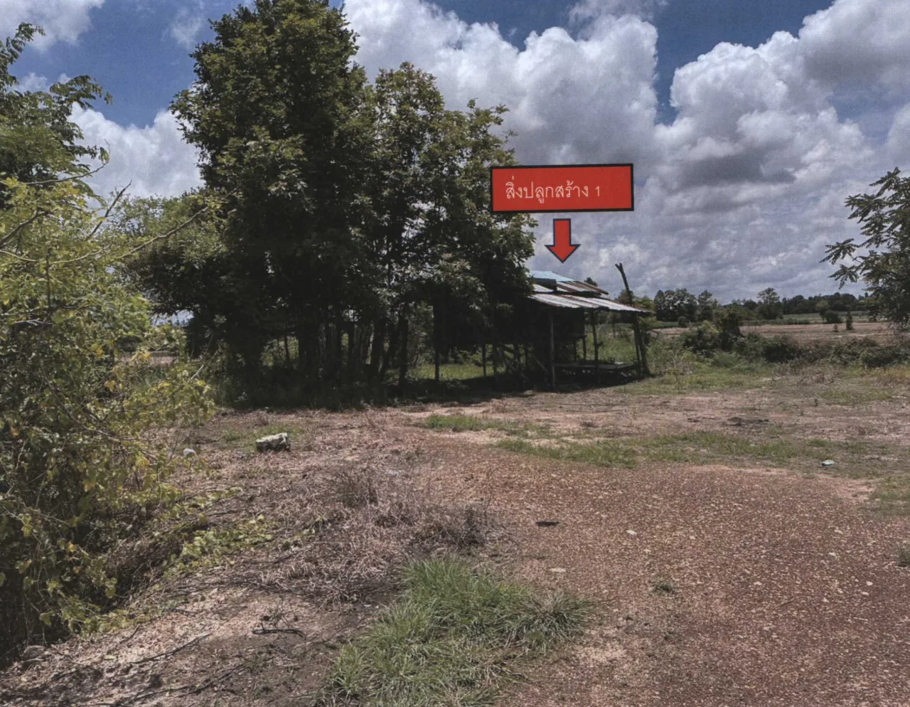 ขายทอดตลาด ที่ดินพร้อมสิ่งปลูกสร้าง ต.ป่าคาย อ.ทองแสนขัน จ.อุตรดิตถ์