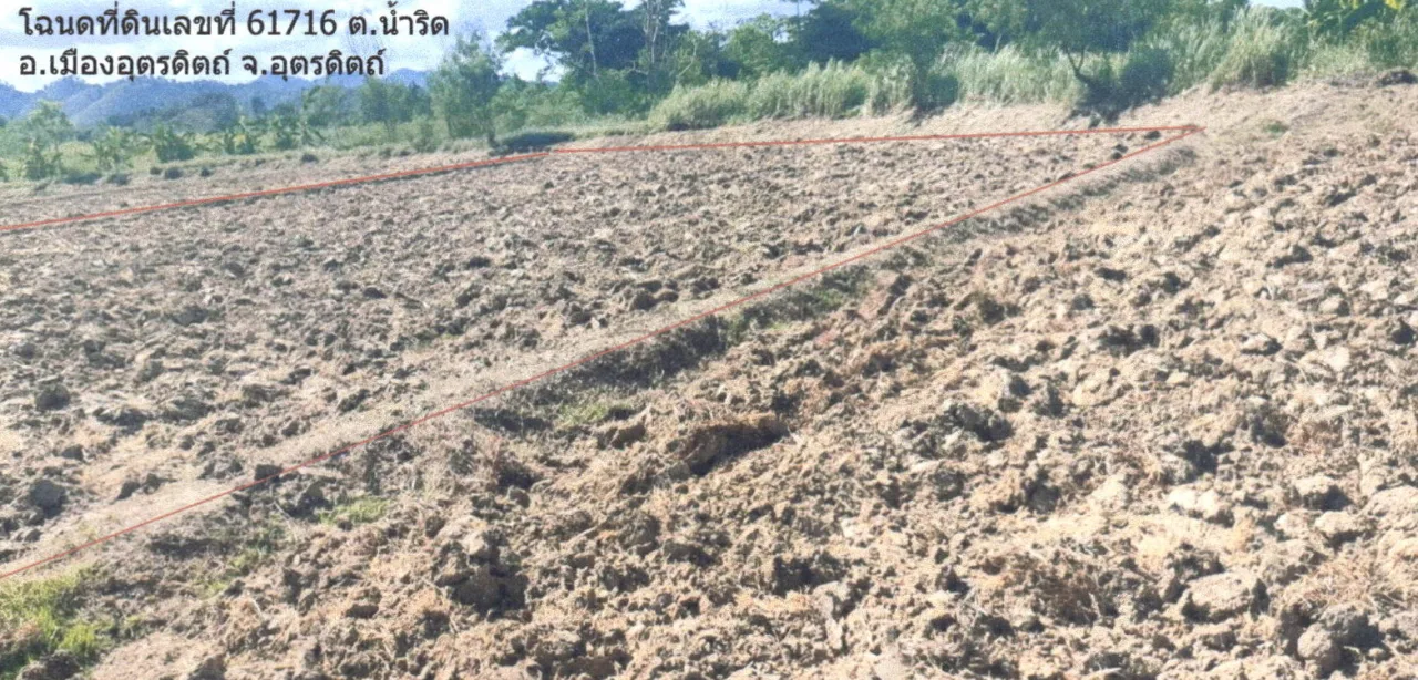 ขายทอดตลาด ที่ดินว่างเปล่า ต.ฝายหลวง อ.ลับแล จ.อุตรดิตถ์