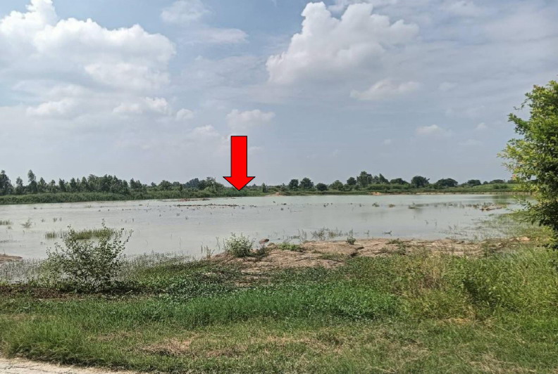 ขายทอดตลาด ที่ดินว่างเปล่า จ.อ่างทอง