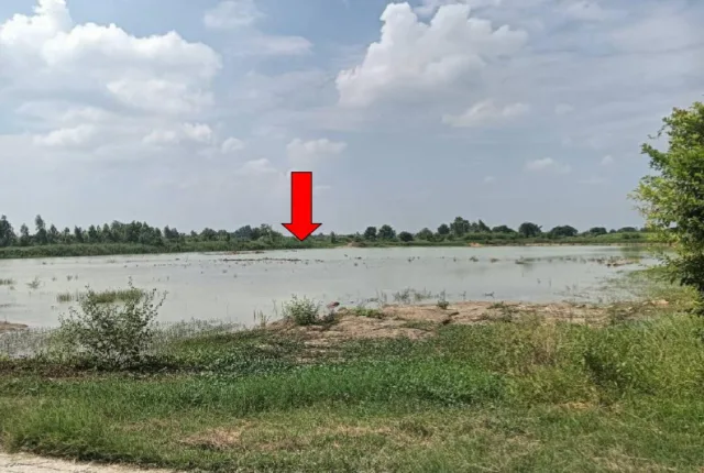 ขายทอดตลาด ที่ดินว่างเปล่า จ.อ่างทอง