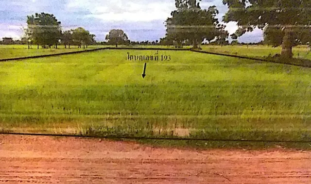 ขายทอดตลาด ที่ดินว่างเปล่า ต.สีบัวทอง อ.แสวงหา จ.อ่างทอง