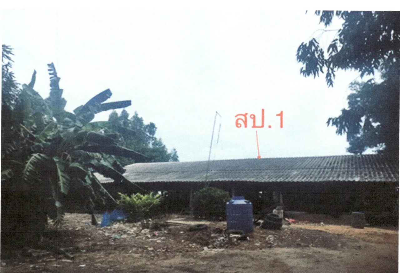 ขายทอดตลาด ที่ดินพร้อมสิ่งปลูกสร้าง ต.แสวงหา อ.แสวงหา จ.อ่างทอง