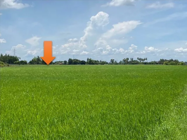 ขายทอดตลาด ที่ดินว่างเปล่า ต.มงคลธรรมนิมิต อ.สามโก้ จ.อ่างทอง