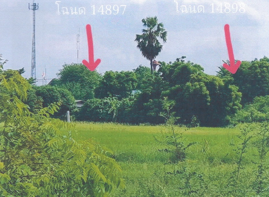 ขายทอดตลาด ที่ดินว่างเปล่า ต.แสวงหา อ.แสวงหา จ.อ่างทอง