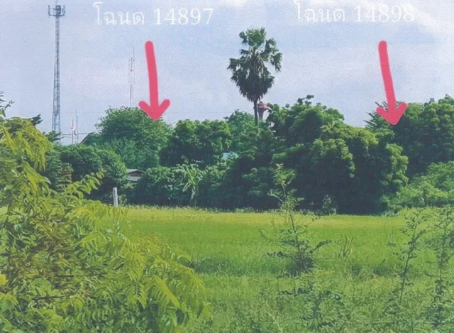 ขายทอดตลาด ที่ดินว่างเปล่า ต.แสวงหา อ.แสวงหา จ.อ่างทอง