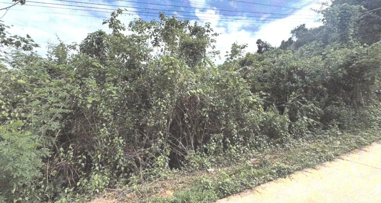 ขายทอดตลาด ที่ดินว่างเปล่า ต.แม่พูล อ.ลับแล จ.อุตรดิตถ์