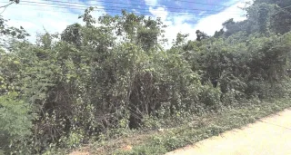 รูปทรัพย์ 1