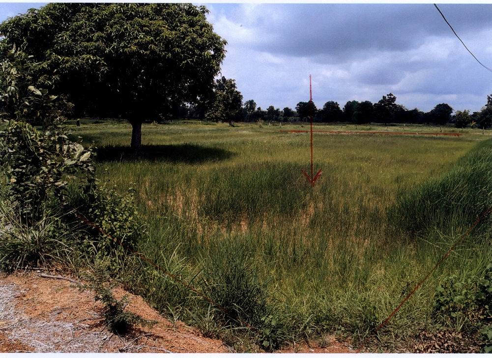 ขายทอดตลาด ที่ดินว่างเปล่า ต.หนองนกทา อ.เขมราฐ จ.อุบลราชธานี