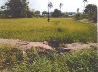 รูปทรัพย์ 2