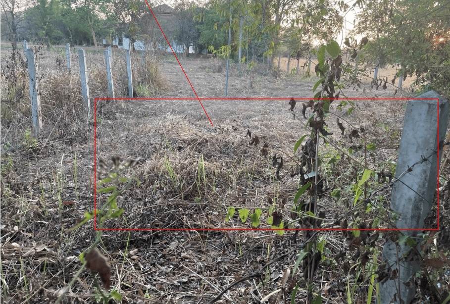 ขายทอดตลาด ที่ดินว่างเปล่า ต.บุ่งหวาย อ.วารินชำราบ จ.อุบลราชธานี