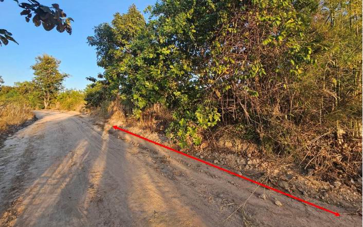 ขายทอดตลาด ที่ดินว่างเปล่า ต.คำเขื่อนแก้ว อ.สิรินธร จ.อุบลราชธานี