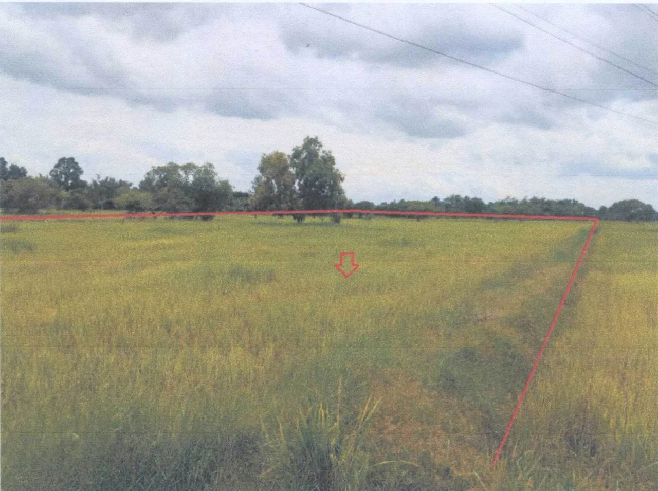 ขายทอดตลาด ที่ดินว่างเปล่า ต.หนองขอน อ.เมืองอุบลราชธานี จ.อุบลราชธานี