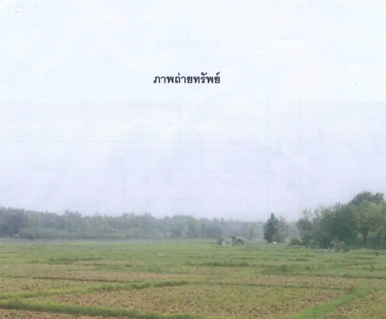 ขายทอดตลาด ที่ดินว่างเปล่า ต.ชัยจุมพล อ.ลับแล จ.อุตรดิตถ์