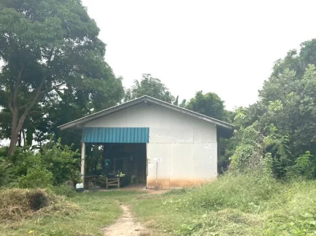 ขายทอดตลาด ที่ดินพร้อมสิ่งปลูกสร้าง ต.สีบัวทอง อ.แสวงหา จ.อ่างทอง