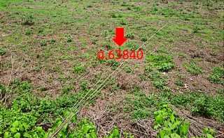 รูปทรัพย์ 2