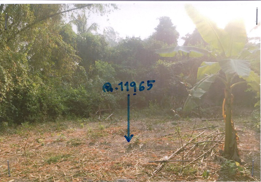ขายทอดตลาด ที่ดินว่างเปล่า ต.สีบัวทอง อ.แสวงหา จ.อ่างทอง