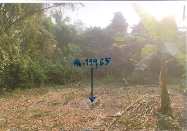 ขายทอดตลาด ที่ดินว่างเปล่า ต.สีบัวทอง อ.แสวงหา จ.อ่างทอง