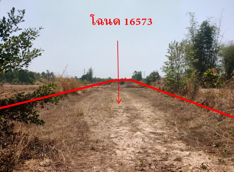 ขายทอดตลาด ที่ดินว่างเปล่า จ.สกลนคร