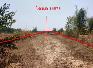 รูปทรัพย์ 1
