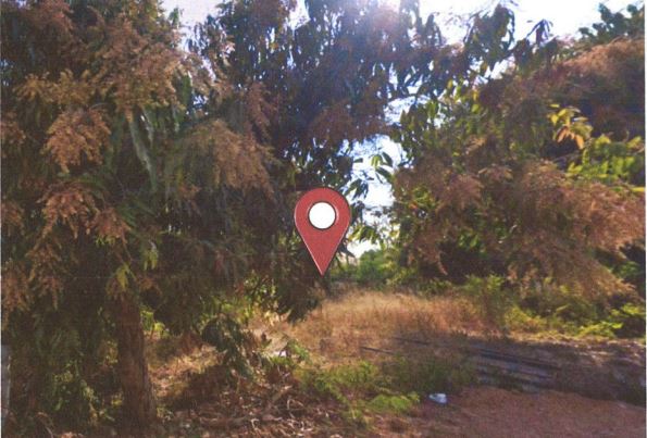 ขายทอดตลาด ที่ดินว่างเปล่า ต.โพนสูง อ.บ้านดุง จ.อุดรธานี