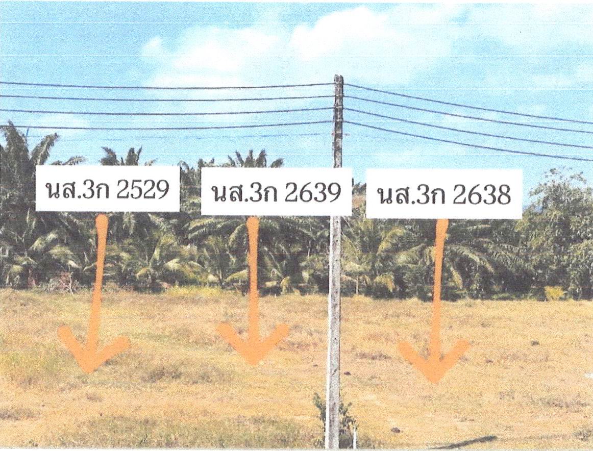ขายทอดตลาด ที่ดินว่างเปล่า ต.คลองยาง อ.เกาะลันตา จ.กระบี่