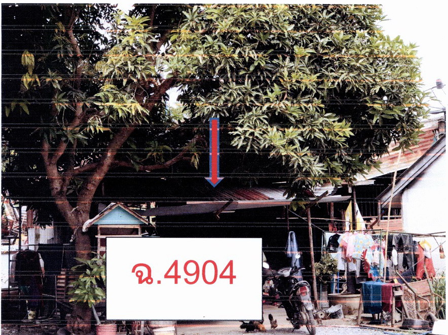 ขายทอดตลาด ที่ดินพร้อมสิ่งปลูกสร้าง ต.สามโก้ อ.สามโก้ จ.อ่างทอง