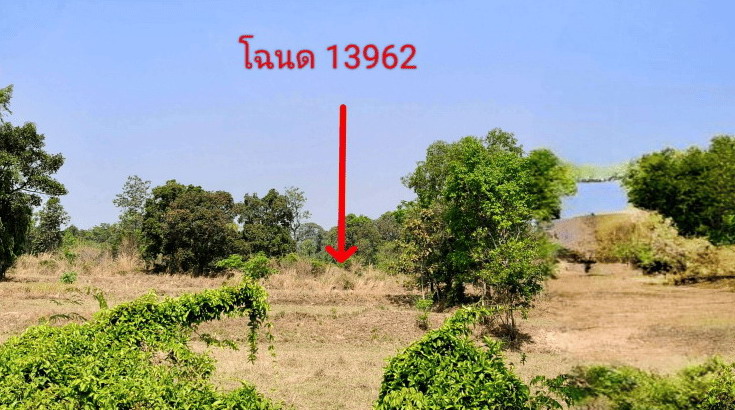 ขายทอดตลาด ที่ดินว่างเปล่า ต.ไหล่ทุ่ง อ.ตระการพืชผล จ.อุบลราชธานี
