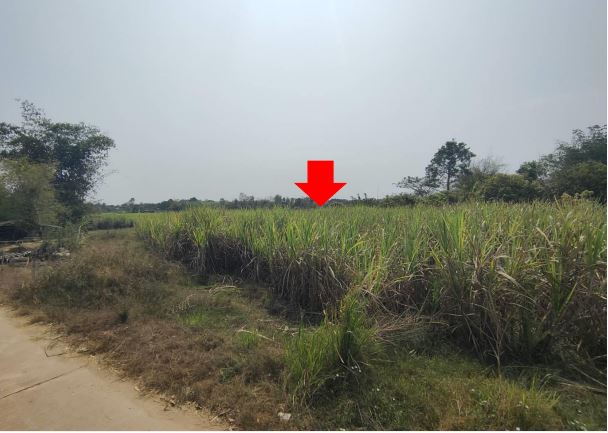 ขายทอดตลาด ที่ดินว่างเปล่า ต.ขอนยูง อ.กุดจับ จ.อุดรธานี