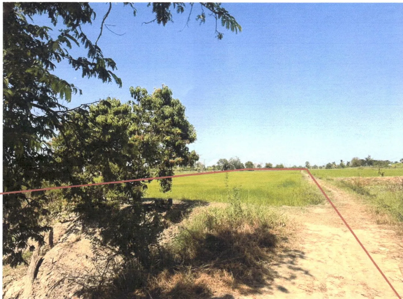 ขายทอดตลาด ที่ดินว่างเปล่า ต.คอรุม อ.พิชัย จ.อุตรดิตถ์